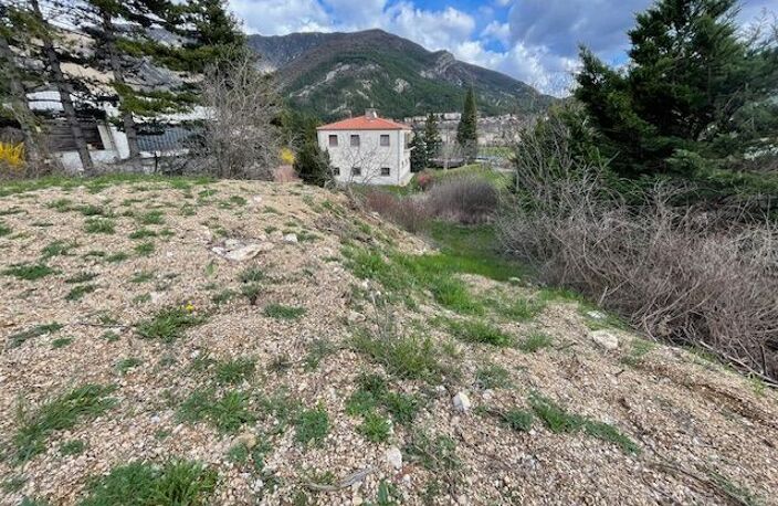 Terrain Constructible Idéalement Situé à Serres (05700) : Opportunité à Saisir ! — photo 4