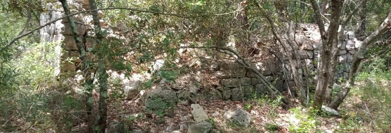 Terrain  6100 m² à vendre à Trans-en-Provence (83720)