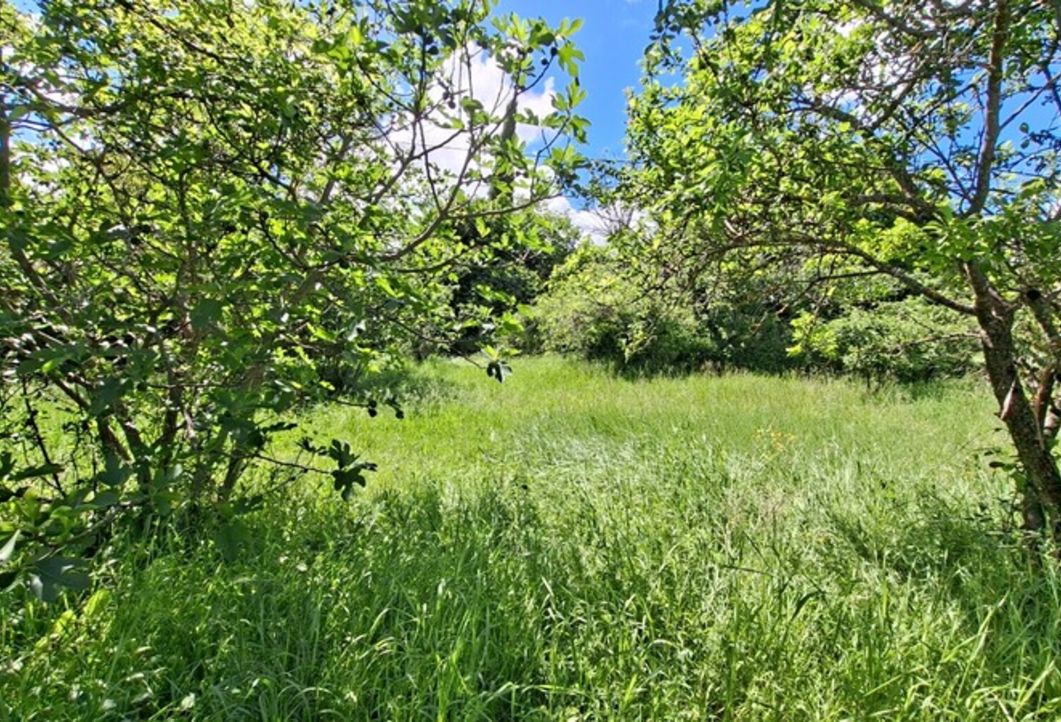 Terrain à vendre de 676,00 m² (Les Baumelles) à DIGNE LES BAINS (04) — photo 1