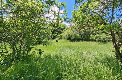 Terrain  79000 €