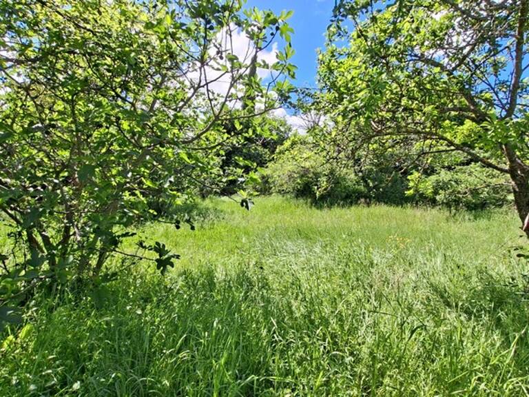 Terrain à vendre de 676,00 m² (Les Baumelles) à DIGNE LES BAINS (04) — photo 1