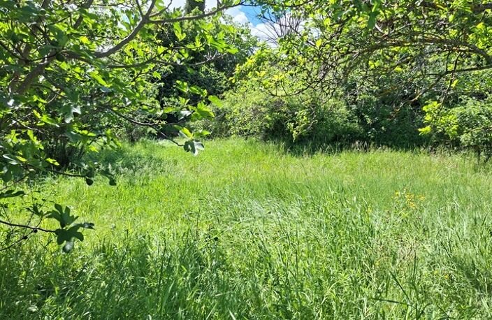 Terrain à vendre de 676,00 m² (Les Baumelles) à DIGNE LES BAINS (04) — photo 2