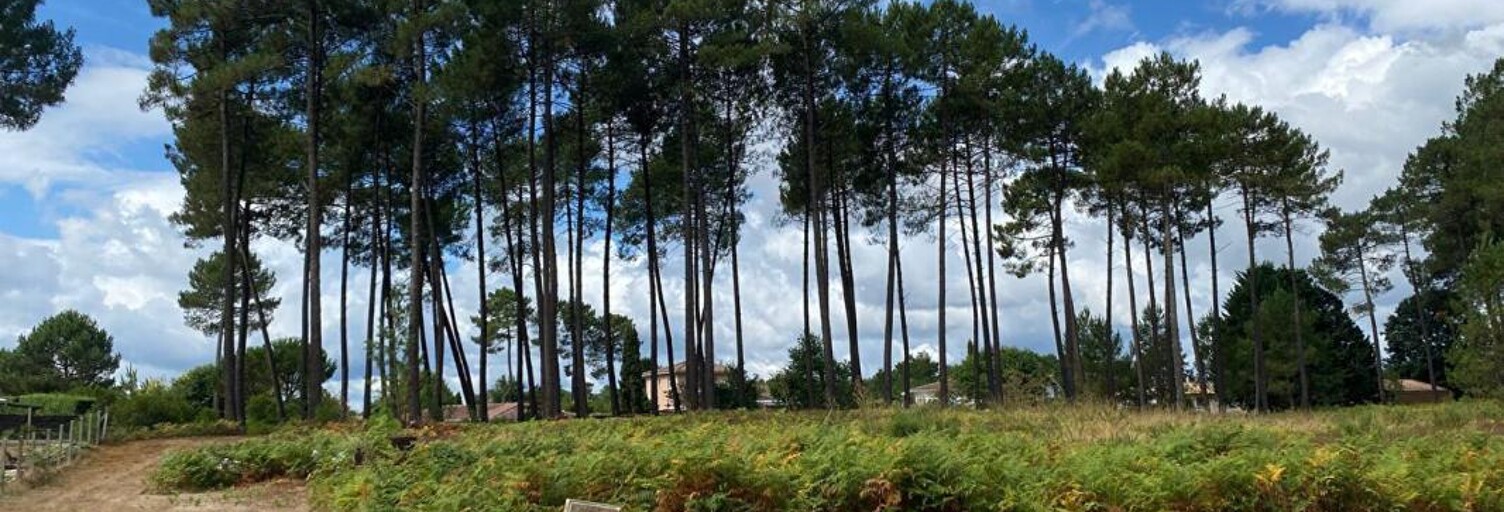 Terrain 440 m² à construire Hourtin (33990)