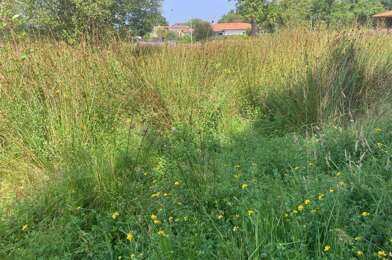 Terrain  183000 €