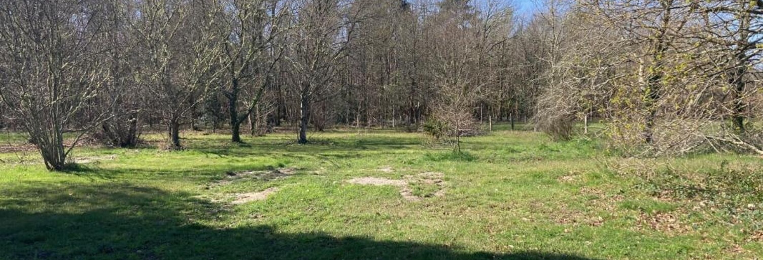 Terrain 700 m² à construire Lanton (33138)