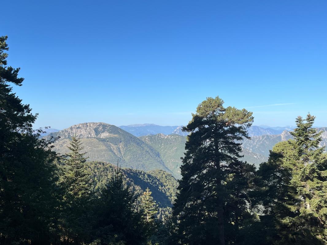 Photo Terrain Luceram