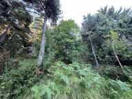 Terrain À Vendre 2.285 m² — photo 4