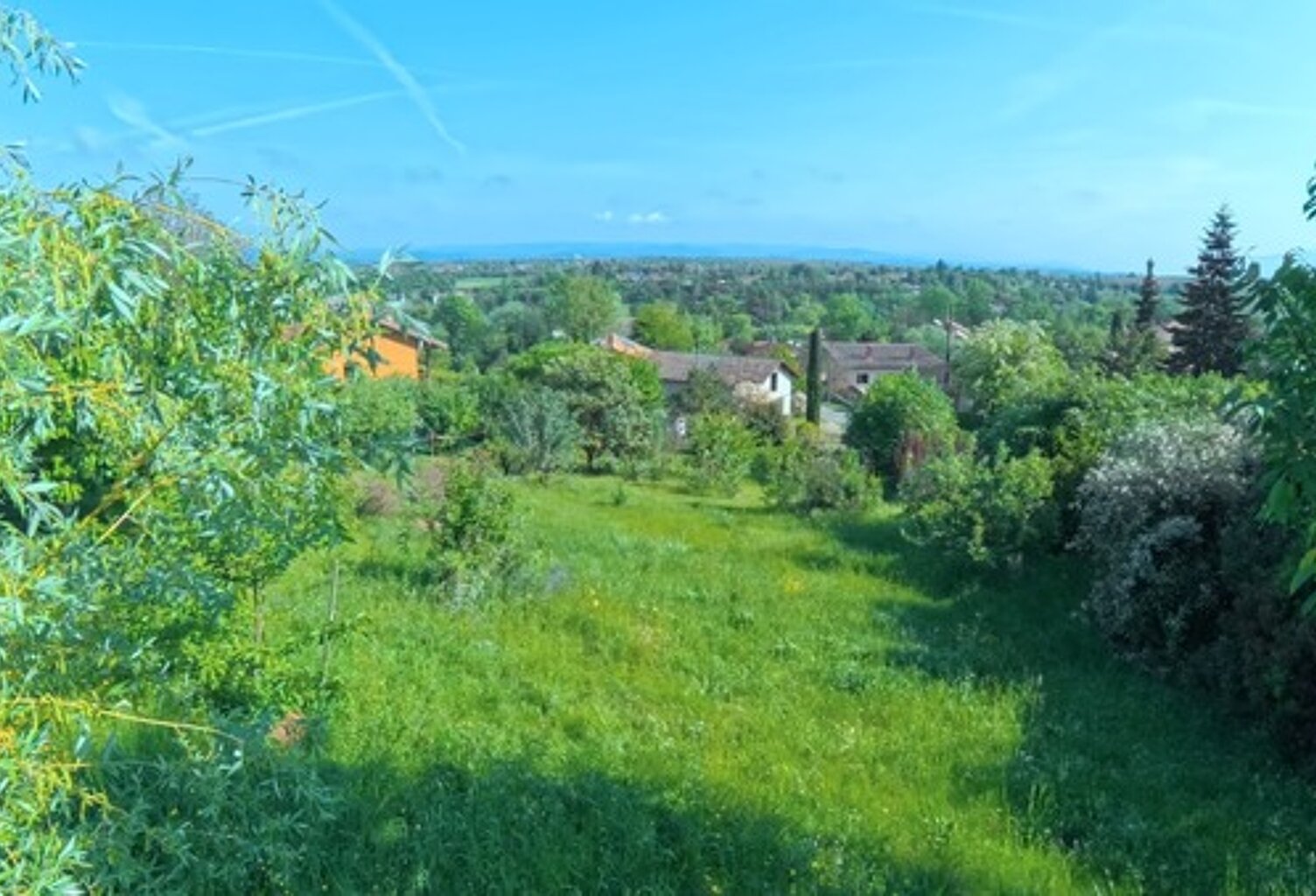 🌳 Terrain arboré de 606 m² – Un écrin de verdure au cœur de Saint-Nazaire-en-Royans (26190) — photo 1
