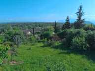   Terrain arboré de 606 m² – Un écrin de verdure au cœur de Saint-Nazaire-en-Royans (26190) — photo 2