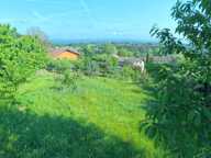   Terrain arboré de 606 m² – Un écrin de verdure au cœur de Saint-Nazaire-en-Royans (26190) — photo 3