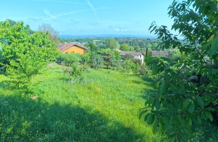 🌳 Terrain arboré de 606 m² – Un écrin de verdure au cœur de Saint-Nazaire-en-Royans (26190) — photo 3
