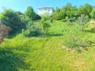   Terrain arboré de 606 m² – Un écrin de verdure au cœur de Saint-Nazaire-en-Royans (26190) — photo 4