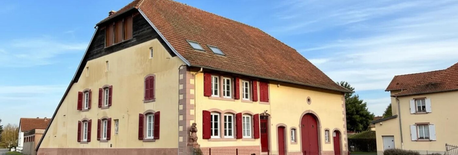 Maison 10 Pièces 398 m² à vendre à Voyer (57560)