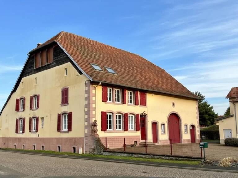 Grande maison 10 pièces à Voyer — photo 1