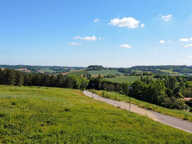 Terrain — photo 3