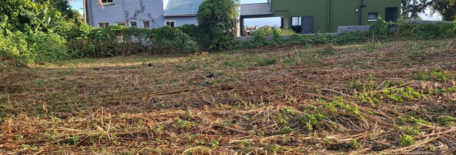 Terrain  800 m² à vendre à Le Tampon (97430)