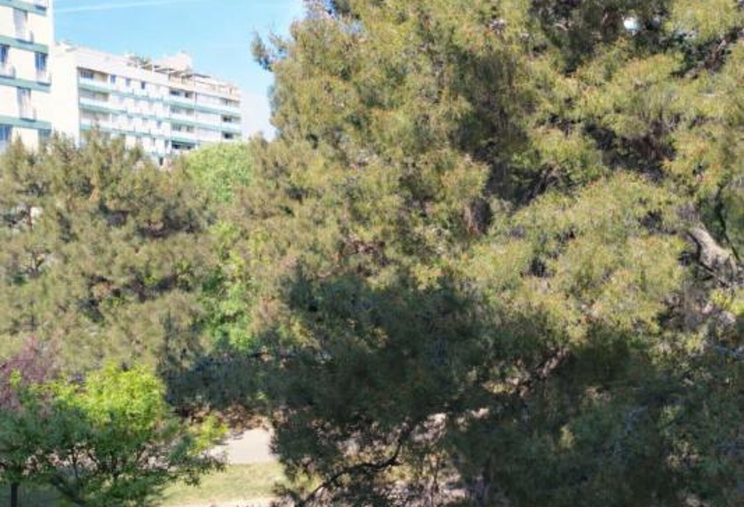 Bel investissement locatif T3 48 m2 La Rose — photo 1