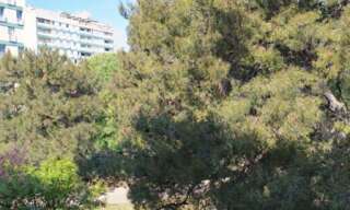 Appartement 3 Pièces 48 m² à vendre à Marseille 13 (13013)