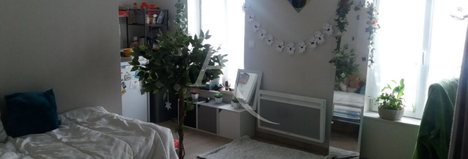 Appartement 1 Pièce 20 m² à louer à Albi (81000)