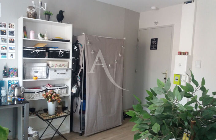 Appartement Albi 1 pièce 19 m² — photo 3