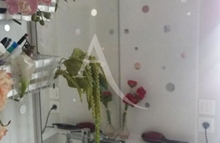 Appartement Albi 1 pièce 19 m² — photo 4