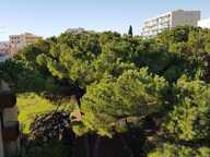 Nice ouest grinda — photo 3