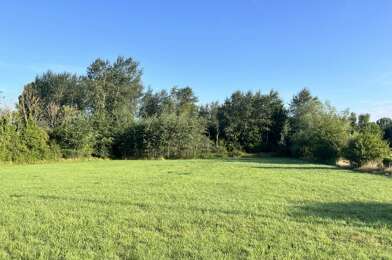 Terrain  49500 €