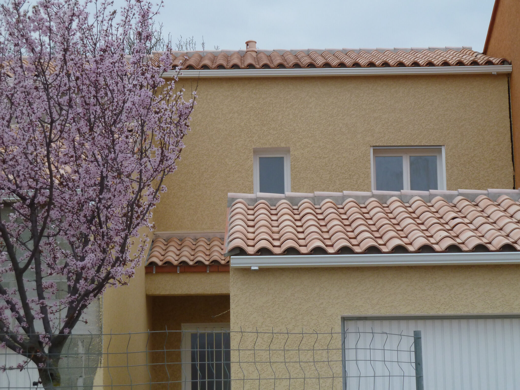 Villa / Maison  T4 à louer Argelès-sur-Mer 66700