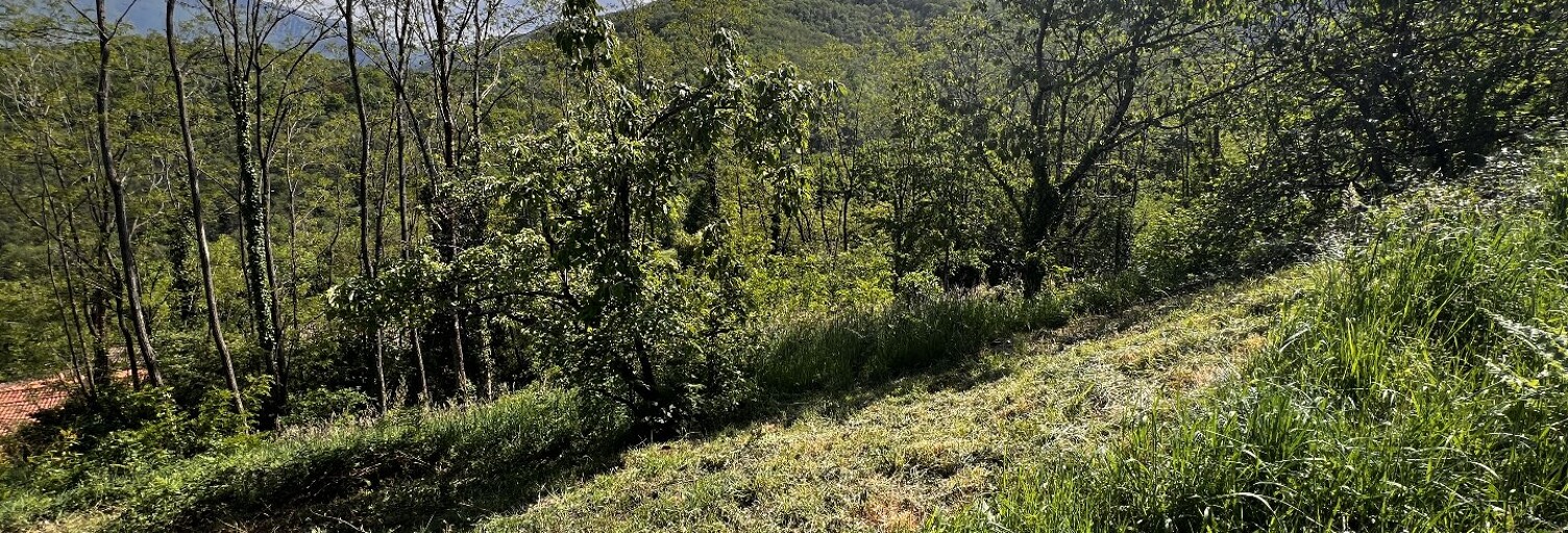 Terrain  1400 m² à vendre à Foix (09000)