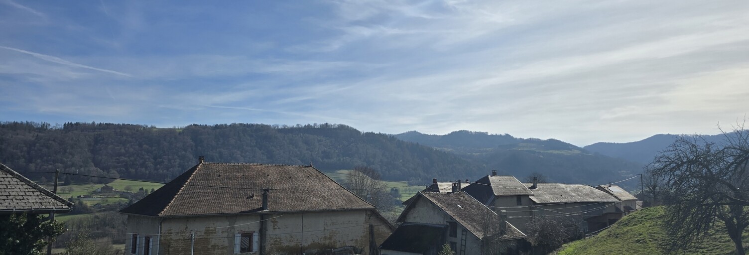 Terrain  1198 m² à vendre à Saint-Geoire-en-Valdaine (38620)