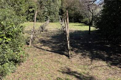 Terrain  425000 €