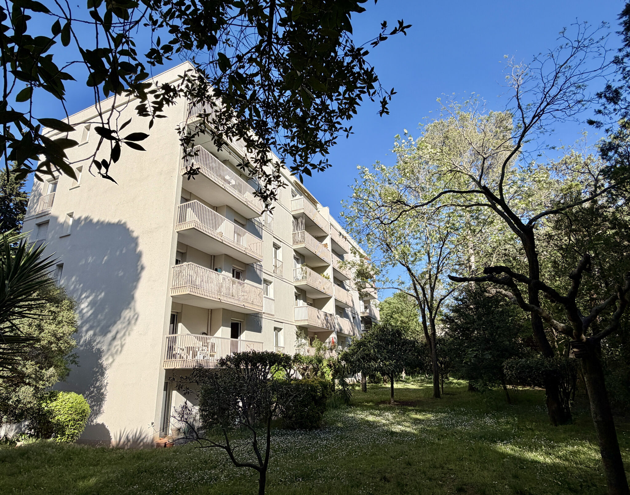 Appartement  T3 à vendre Montpellier 34090