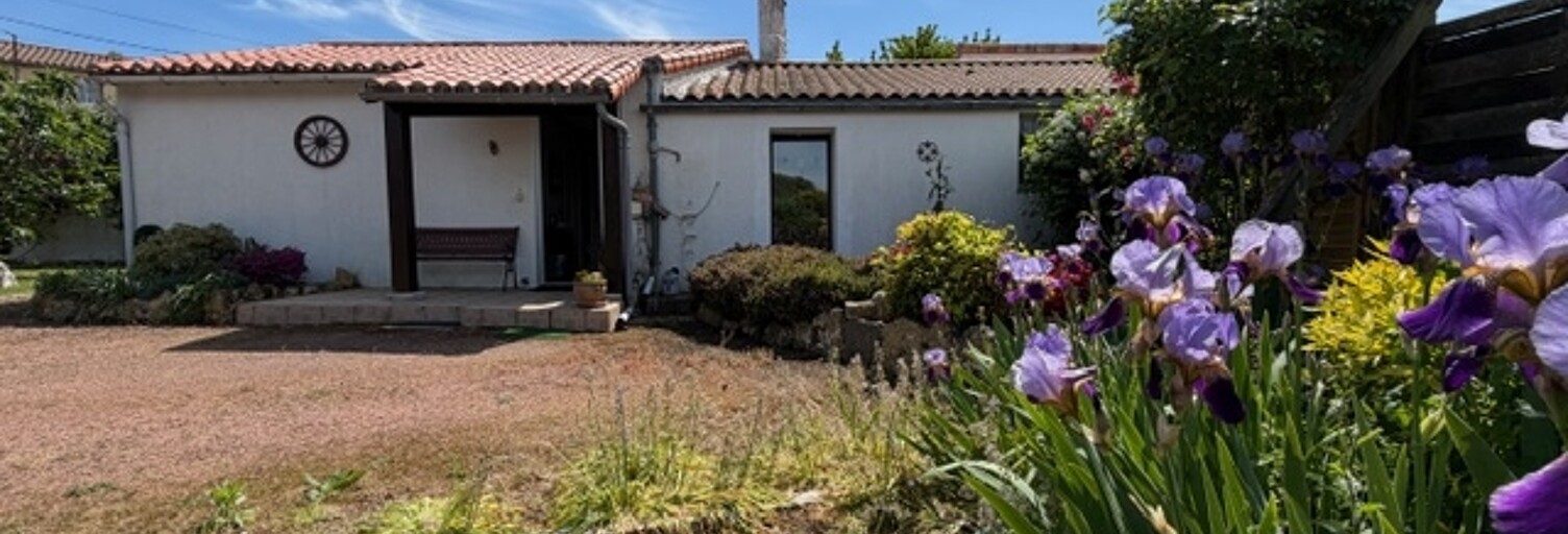 Photo N° 2