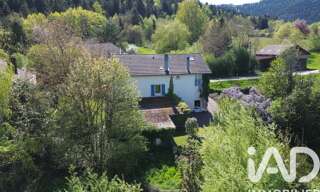 Maison 10 Pièces 220 m² à vendre à Saint-Michel-sur-Meurthe (88470)