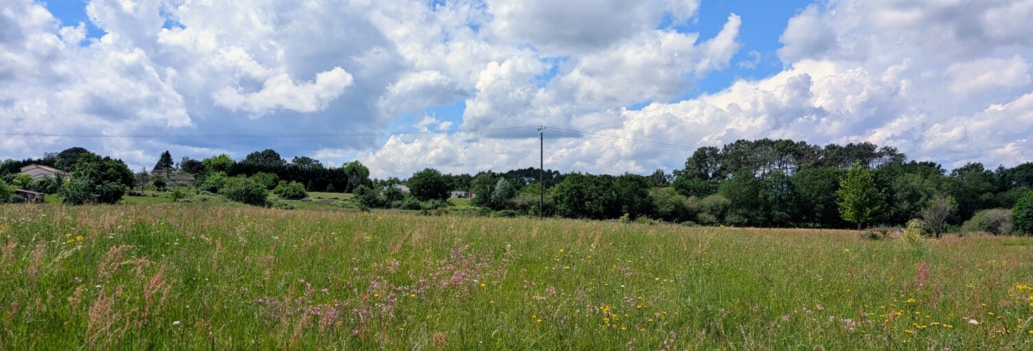 Terrain  2576 m² à vendre à Saint-Rémy (24700)