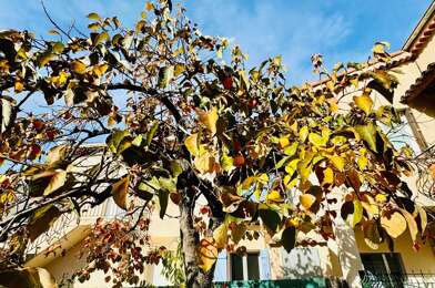 Appartement 3 pièces 325000 €