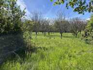 Ferme (tte) de 2 pièces principales — photo 2