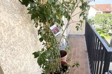 Appartement 3 pièces 165000 €