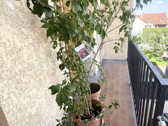 Vente Appartement 3 pièces — photo du bien