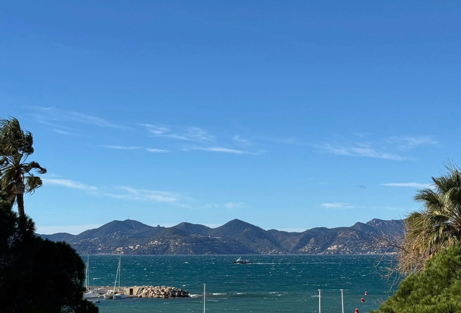 CANNES CROISETTE T7 DE 186 M2 VUE MER TERRASSE  PLEIN SUD + — photo 1