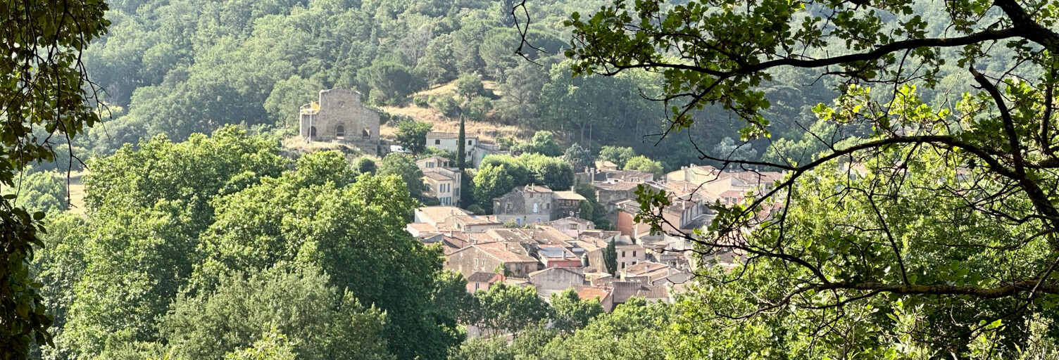Terrain  3000 m² à vendre à Collobrières (83610)