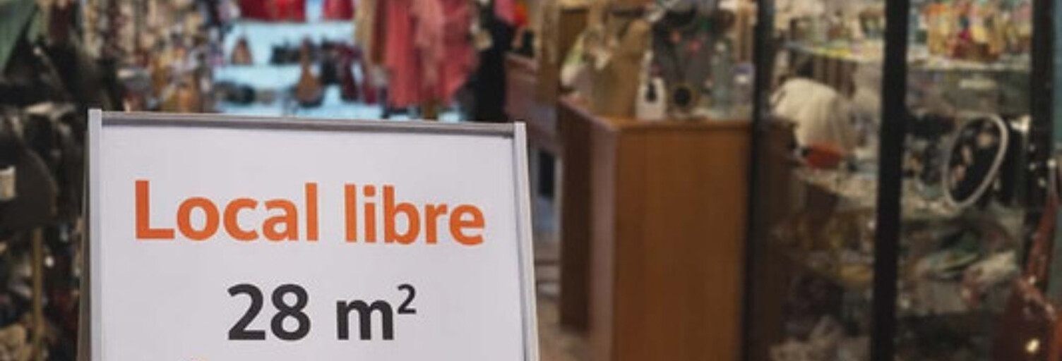 Commerce 1 Pièce 28 m² à louer à Auray (56400)