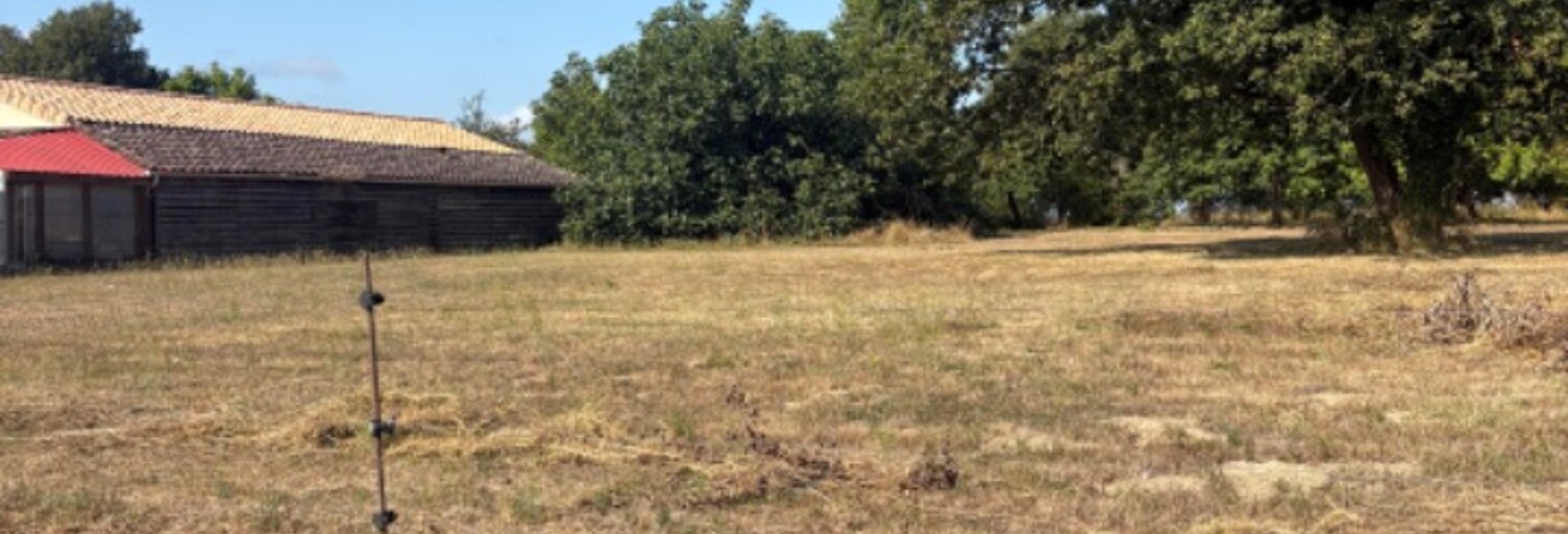 Terrain  800 m² à vendre à Camps-sur-l'Isle (33660)