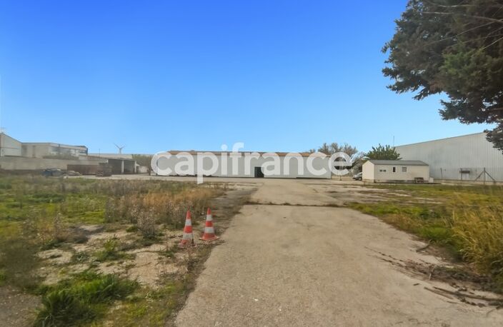 GARD (30) BEAUCAIRE (30300) LOCAL A LOUER ~550 m2 (terrain possible 1.3ha), flux constant Emplacement N°1 — photo 4
