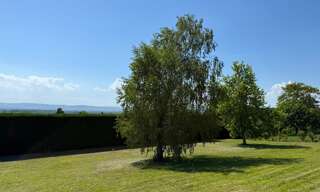 Terrain  1052 m² à vendre à Reyrieux (01600)