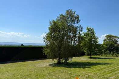 Terrain  311000 €
