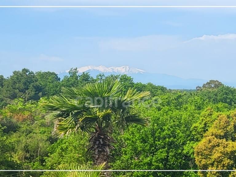 VENTE EN VIAGER OCCUPE - BOUQUET SANS RENTE — photo 1