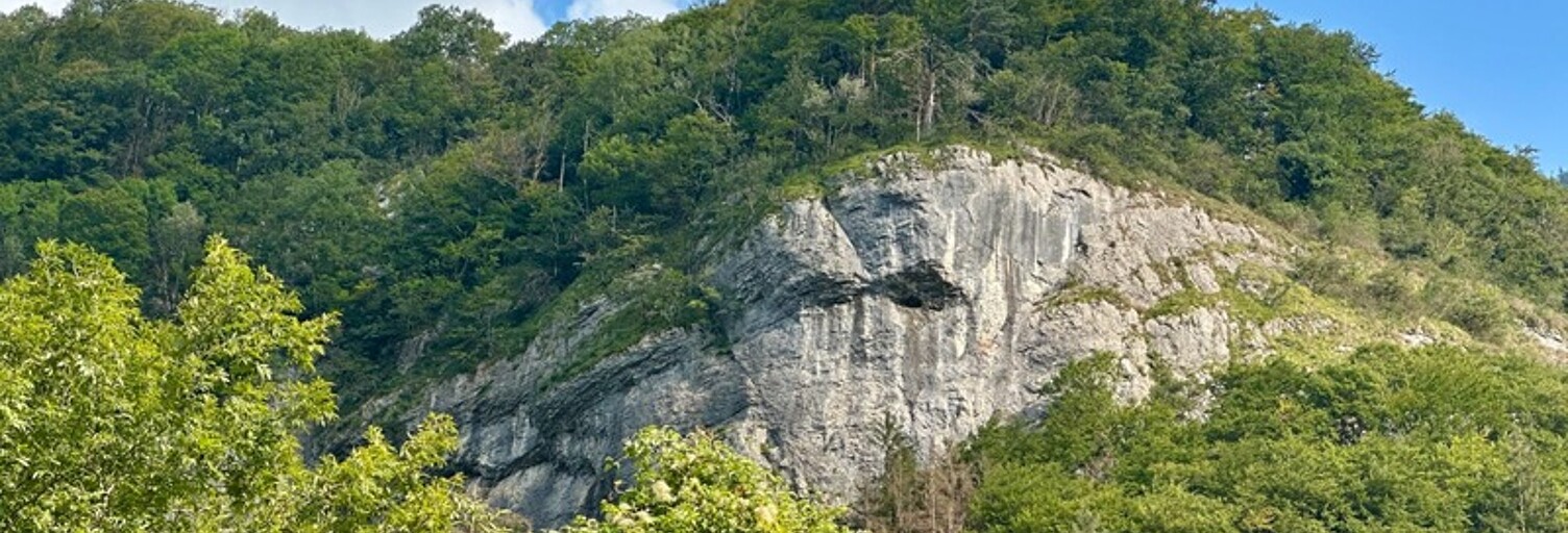 Terrain  3119 m² à vendre à Magland (74300)
