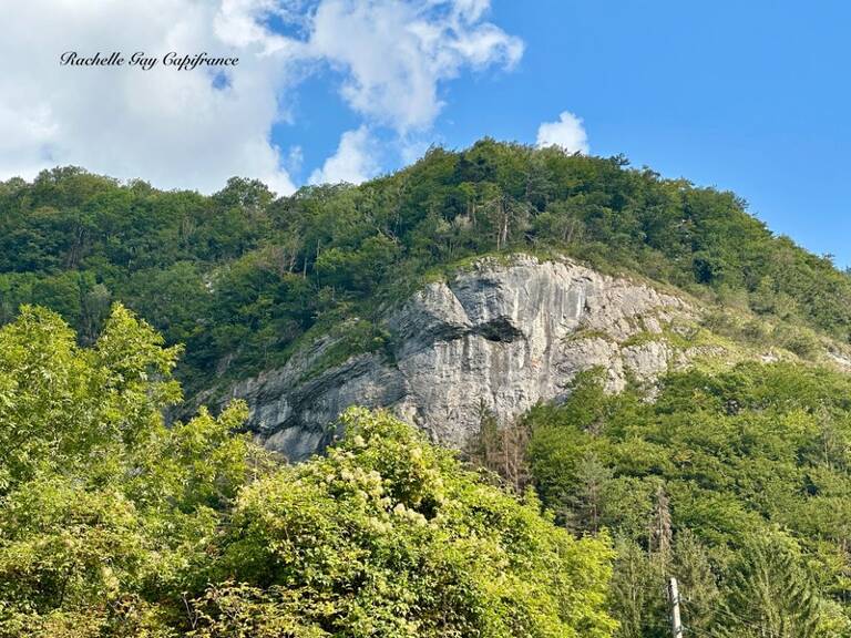 Terrain à vendre  MAGLAND (74) — photo 1