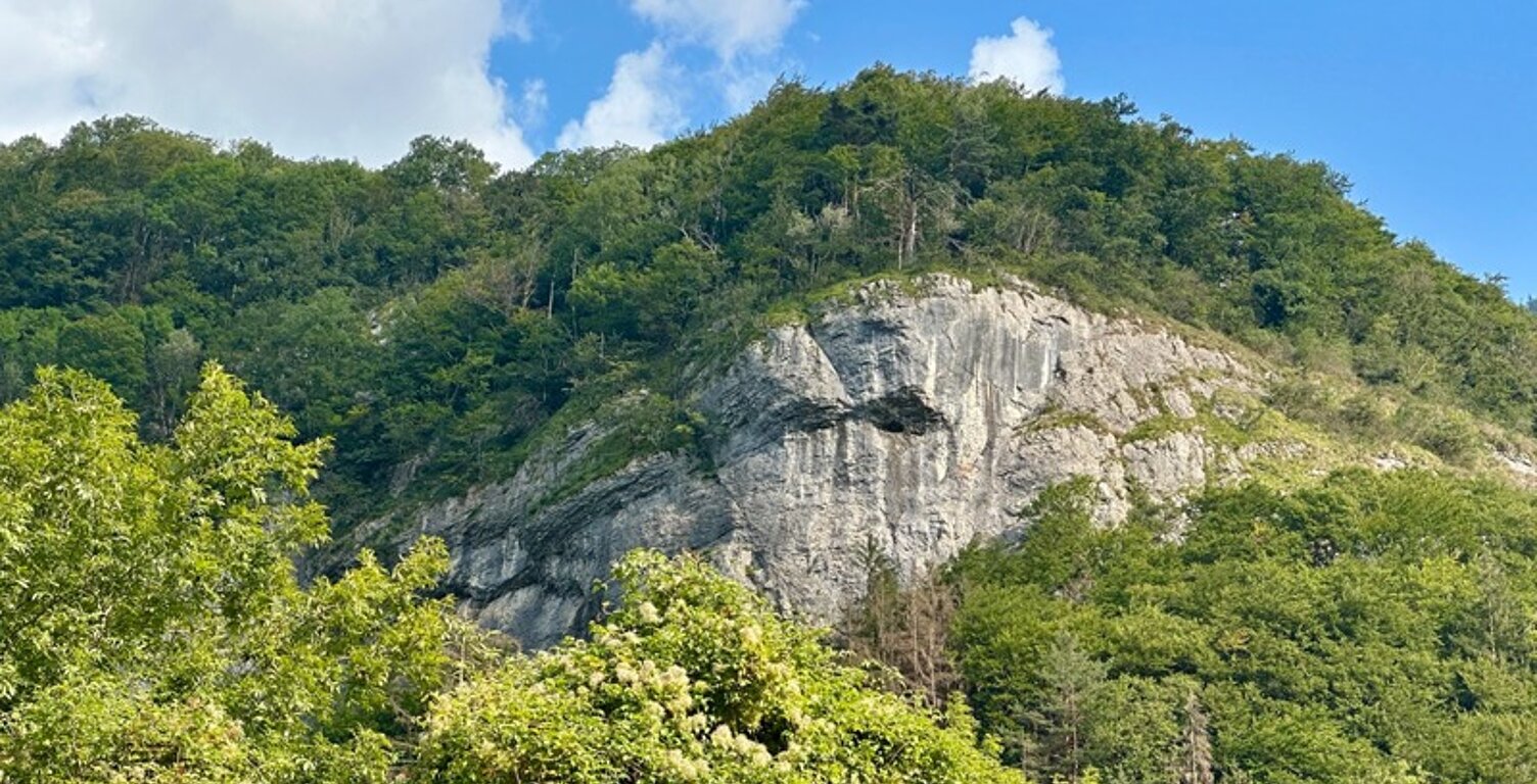 Terrain à vendre  MAGLAND (74) — photo 1